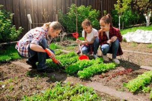 jardinage : excellent activité physique en famille 