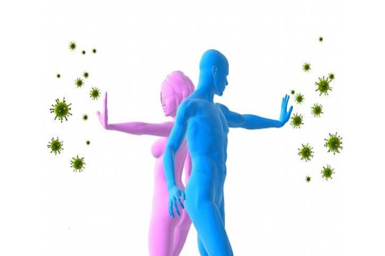 Comment renforcer votre système immunitaire : Voici 4 recettes pour le bien-être de l’organisme  post thumbnail image